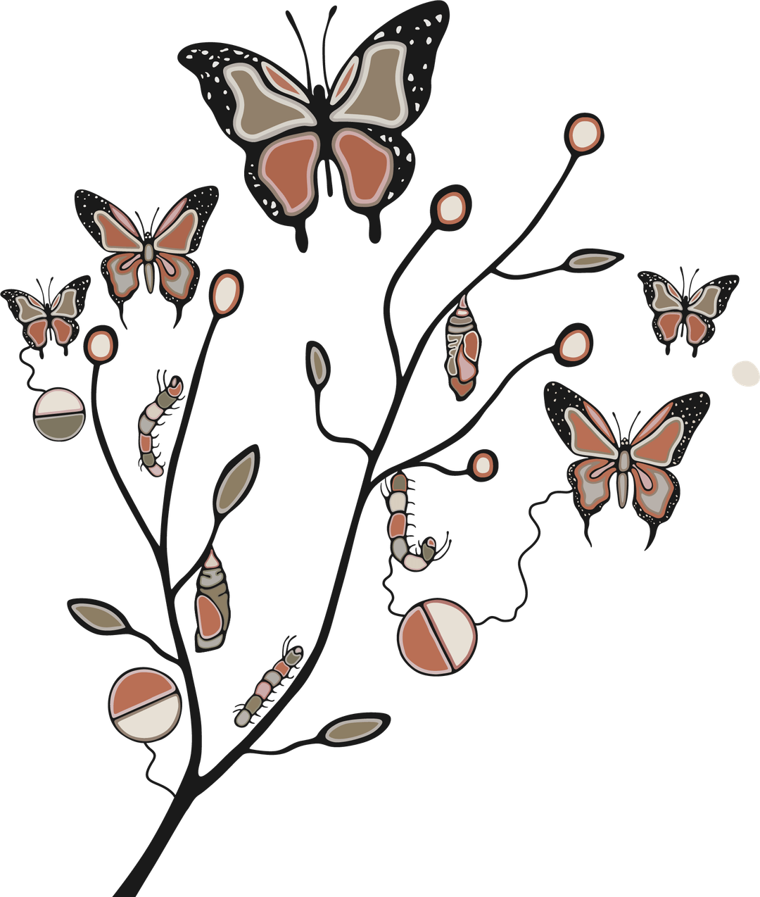 student-resource-oshki-ca-email-addresses